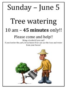 Sunday_June_5_-_Tree_watering_d